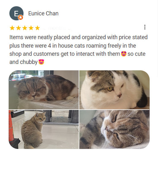 google-review-catsmart